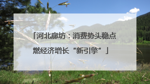 河北廊坊：消费势头稳点燃经济增长“新引擎”