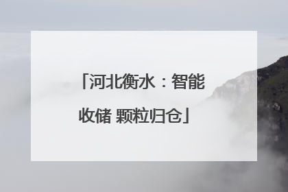 河北衡水：智能收储 颗粒归仓