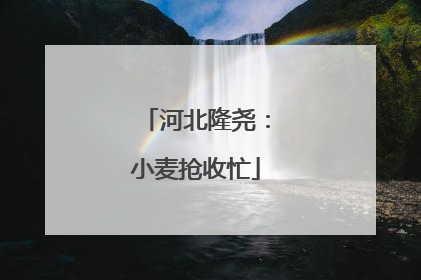 河北隆尧：小麦抢收忙