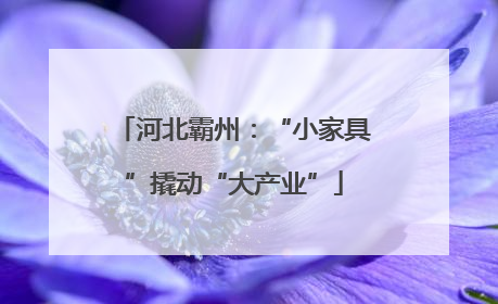 河北霸州：“小家具”撬动“大产业”