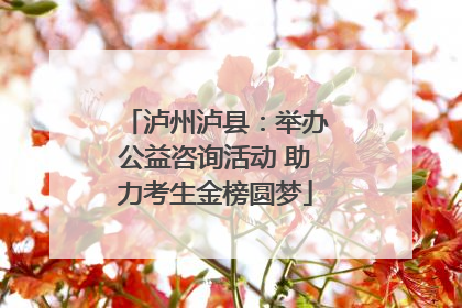 泸州泸县：举办公益咨询活动 助力考生金榜圆梦