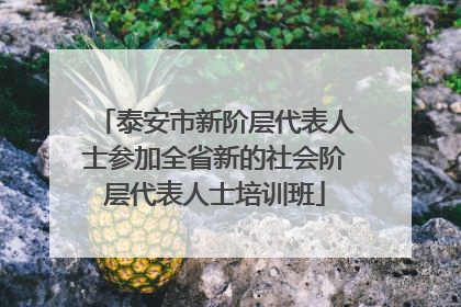 泰安市新阶层代表人士参加全省新的社会阶层代表人士培训班