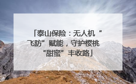 泰山保险：无人机“飞防”赋能，守护樱桃“甜蜜”丰收路