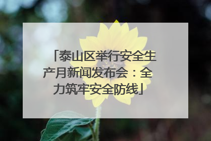 泰山区举行安全生产月新闻发布会：全力筑牢安全防线