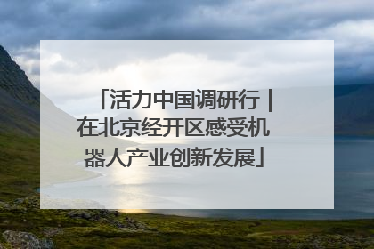 活力中国调研行｜在北京经开区感受机器人产业创新发展