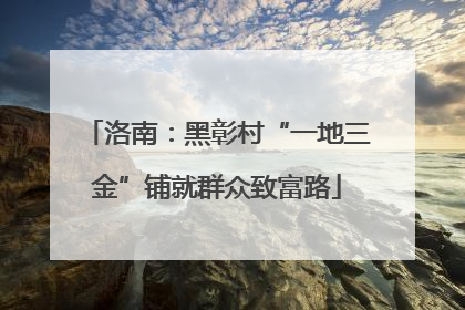 洛南：黑彰村“一地三金”铺就群众致富路