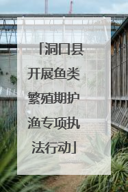 洞口县开展鱼类繁殖期护渔专项执法行动