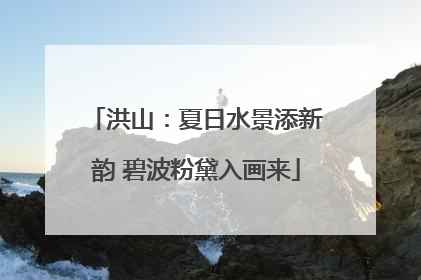 洪山：夏日水景添新韵 碧波粉黛入画来