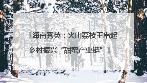 海南秀英：火山荔枝王串起乡村振兴“甜蜜产业链”