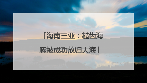 海南三亚：糙齿海豚被成功放归大海