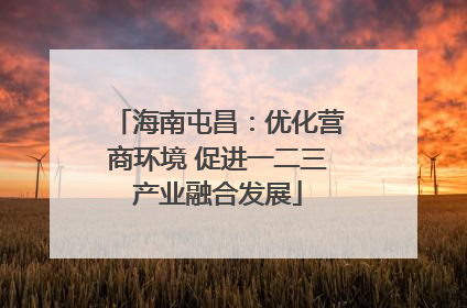 海南屯昌：优化营商环境 促进一二三产业融合发展