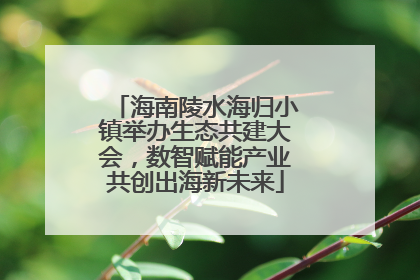 海南陵水海归小镇举办生态共建大会，数智赋能产业共创出海新未来