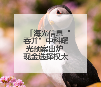 海光信息“吞并”中科曙光预案出炉 现金选择权太“鸡肋”？业内人士：企业不想大量现金流出