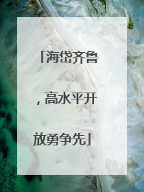 海岱齐鲁，高水平开放勇争先