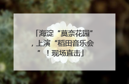 海淀“莫奈花园”，上演“稻田音乐会”！现场直击