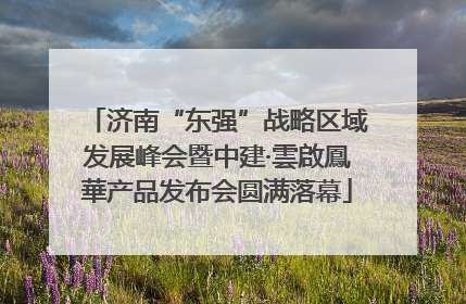 济南“东强”战略区域发展峰会暨中建·雲啟鳳華产品发布会圆满落幕