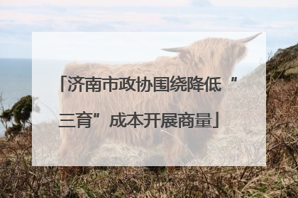 济南市政协围绕降低“三育”成本开展商量