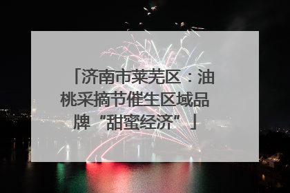 济南市莱芜区：油桃采摘节催生区域品牌“甜蜜经济”