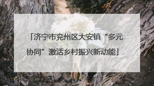 济宁市兖州区大安镇“多元协同”激活乡村振兴新动能