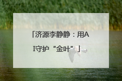 济源李静静：用AI守护“金叶”
