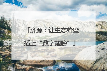 济源：让生态蜂蜜插上“数字翅膀”