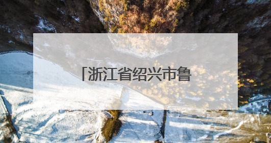 浙江省绍兴市鲁迅小学：学生在“孺子牛志愿服务”中历练成长