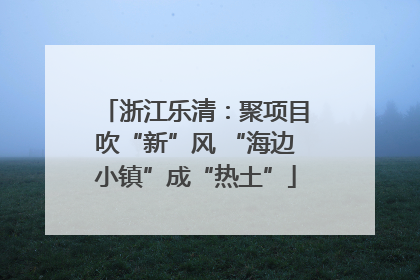 浙江乐清：聚项目吹“新”风 “海边小镇”成“热土”