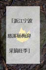 浙江宁波慈溪杨梅迎采摘旺季
