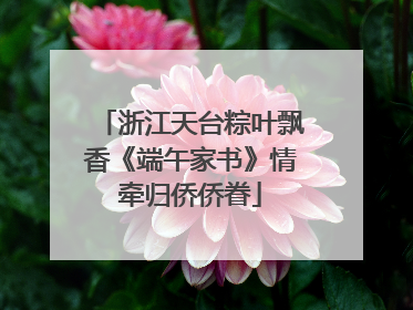 浙江天台粽叶飘香《端午家书》情牵归侨侨眷