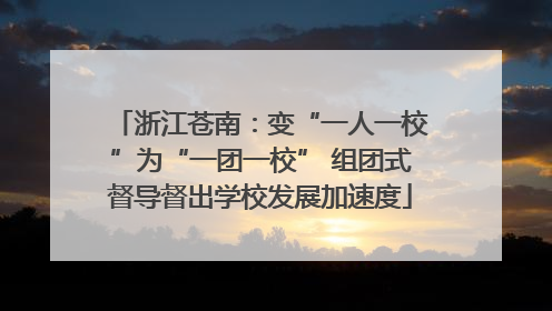 浙江苍南：变“一人一校”为“一团一校” 组团式督导督出学校发展加速度