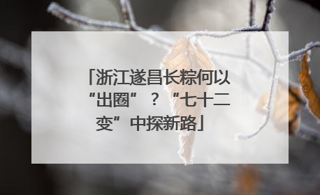 浙江遂昌长粽何以“出圈”？“七十二变”中探新路