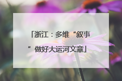 浙江：多维“叙事”做好大运河文章