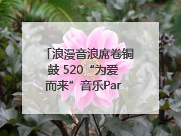 浪漫音浪席卷铜鼓 520“为爱而来”音乐Party甜蜜收官