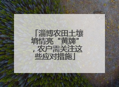 淄博农田土壤墒情亮“黄牌”，农户需关注这些应对措施