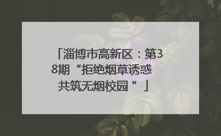 淄博市高新区：第38期“拒绝烟草诱惑 共筑无烟校园 ”