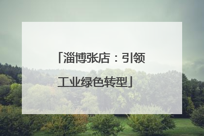 淄博张店：引领工业绿色转型