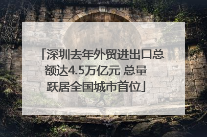 深圳去年外贸进出口总额达4.5万亿元 总量跃居全国城市首位