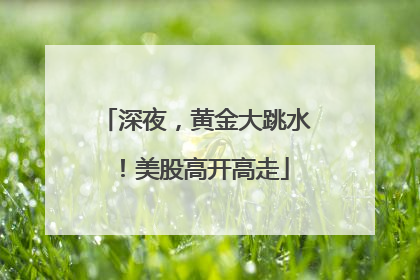 深夜，黄金大跳水！美股高开高走