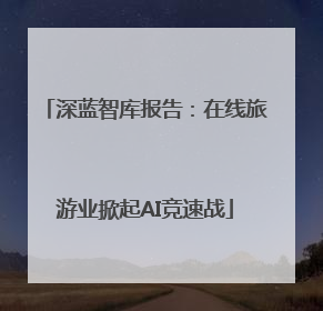 深蓝智库报告：在线旅游业掀起AI竞速战