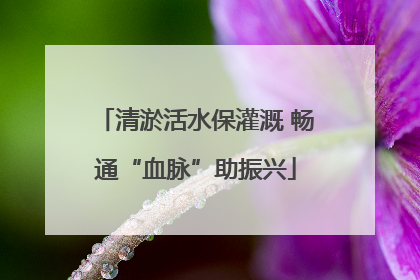 清淤活水保灌溉 畅通“血脉”助振兴