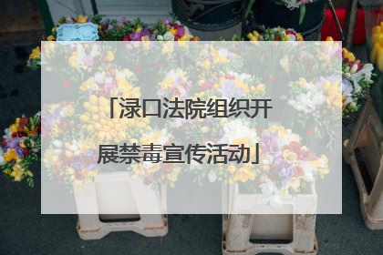 渌口法院组织开展禁毒宣传活动