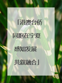 港澳台侨同胞在宁夏感知发展 共叙融合