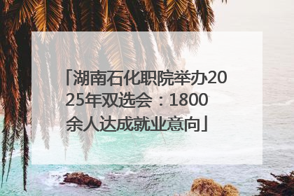 湖南石化职院举办2025年双选会：1800余人达成就业意向