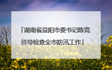 湖南省益阳市委书记陈竞督导检查全市防汛工作