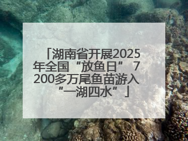 湖南省开展2025年全国“放鱼日” 7200多万尾鱼苗游入“一湖四水”