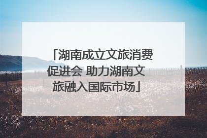 湖南成立文旅消费促进会 助力湖南文旅融入国际市场