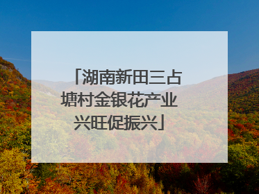湖南新田三占塘村金银花产业兴旺促振兴