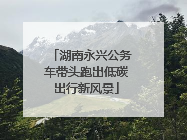 湖南永兴公务车带头跑出低碳出行新风景