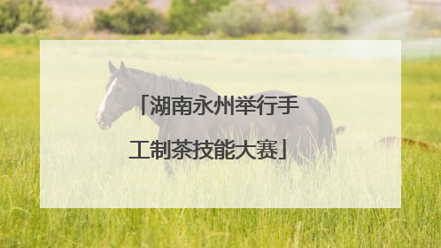 湖南永州举行手工制茶技能大赛
