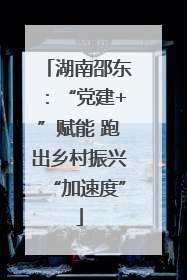 湖南邵东：“党建+”赋能 跑出乡村振兴“加速度”